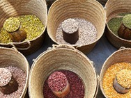 Sauvegarde répertoire