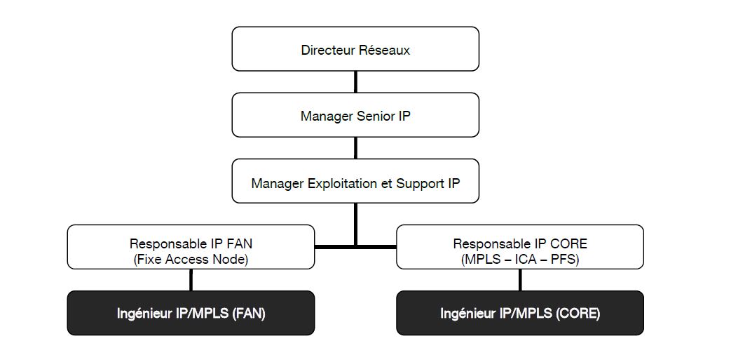 positionnement_hierarchique